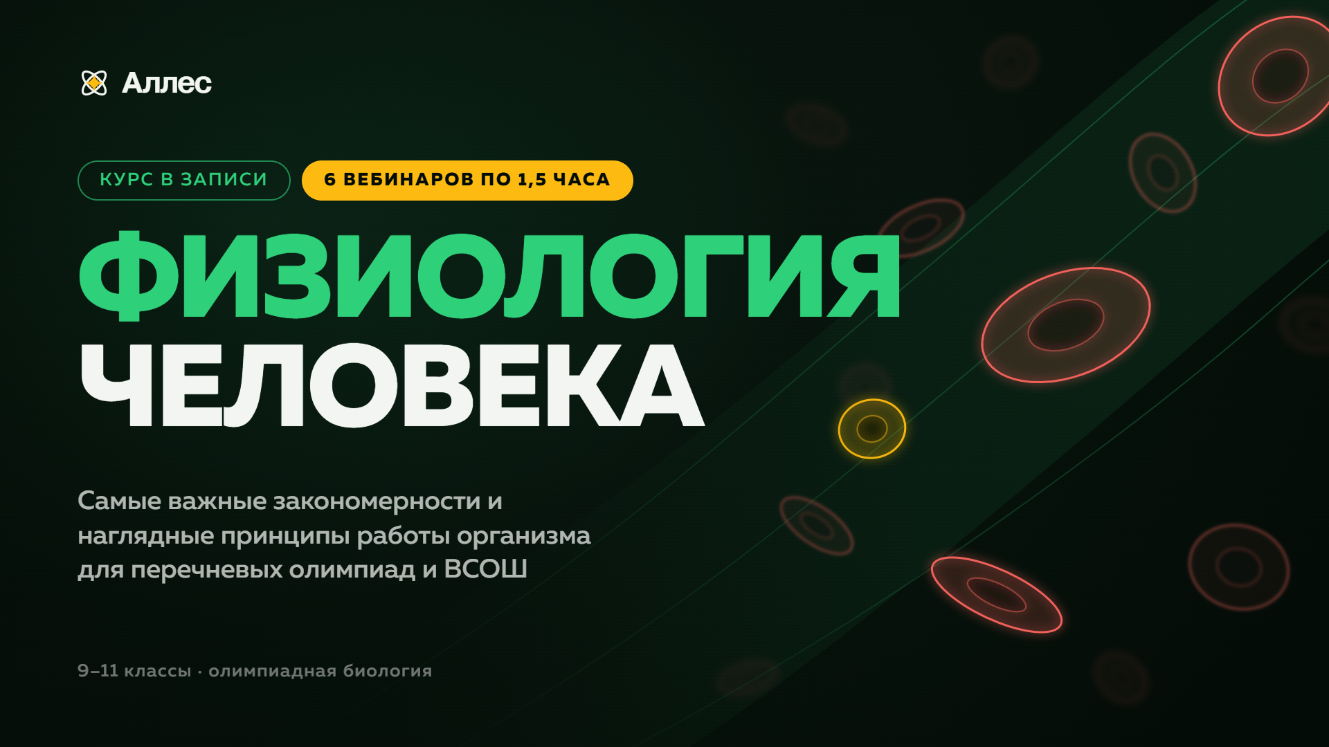 Мини-курс по физиологии человека